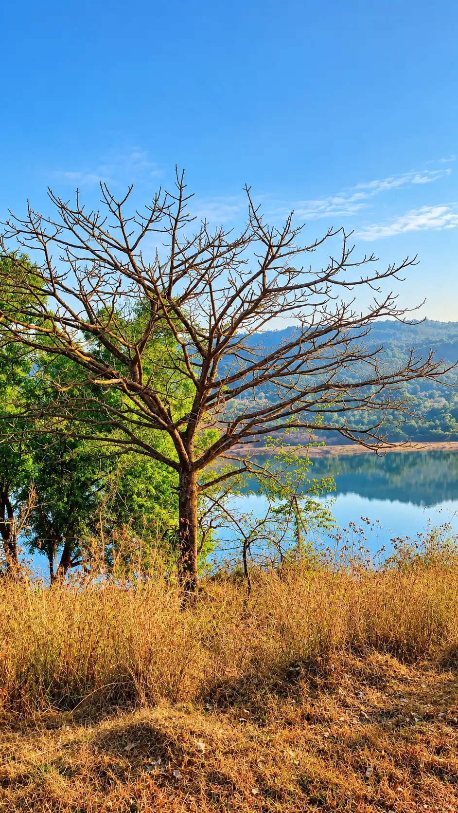 Lake, mountain and trees at Viva Andur farmhouse photography